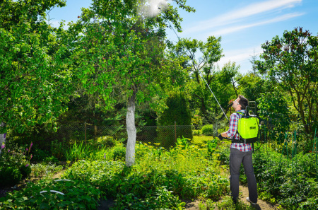 Штанга телескопическая с рукояткой Marolex 300 см