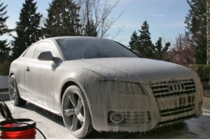 Пенное сопло Professional для минимоек Karcher, 1л